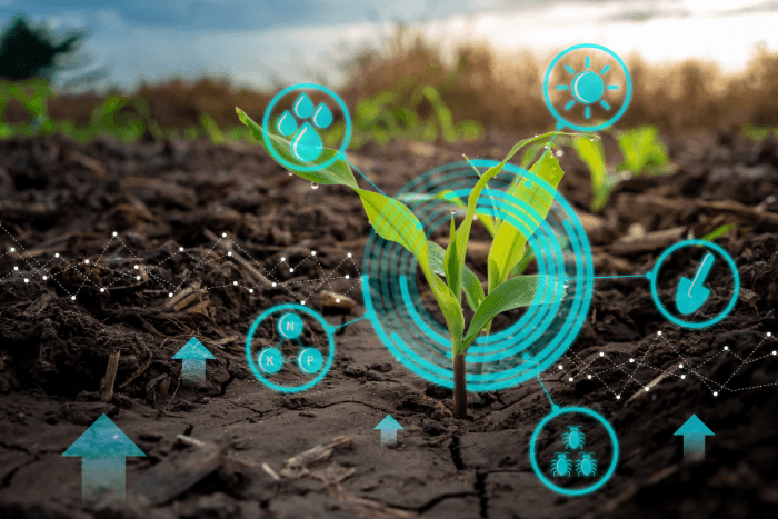 Hidden costs of global agrifood systems worth at least $10 trillion: Report