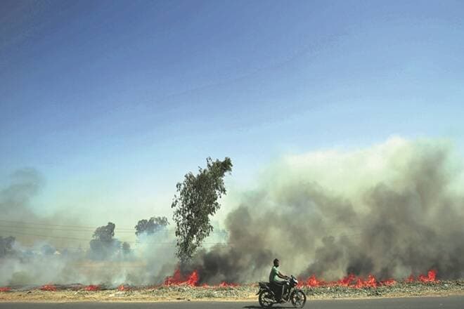 False Assurances: CMs of Punjab, Haryana, Delhi and UP have been summoned by the Supreme Court for yet another year of failure to control farm stubble burning in north India | Photo: Financial Express