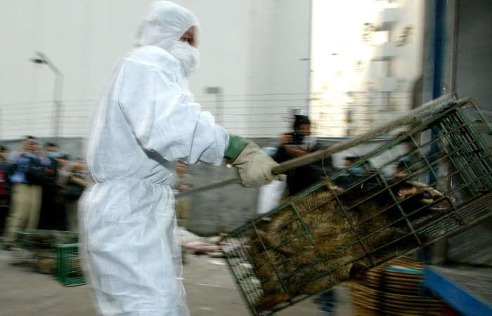 Photo: The Conversation