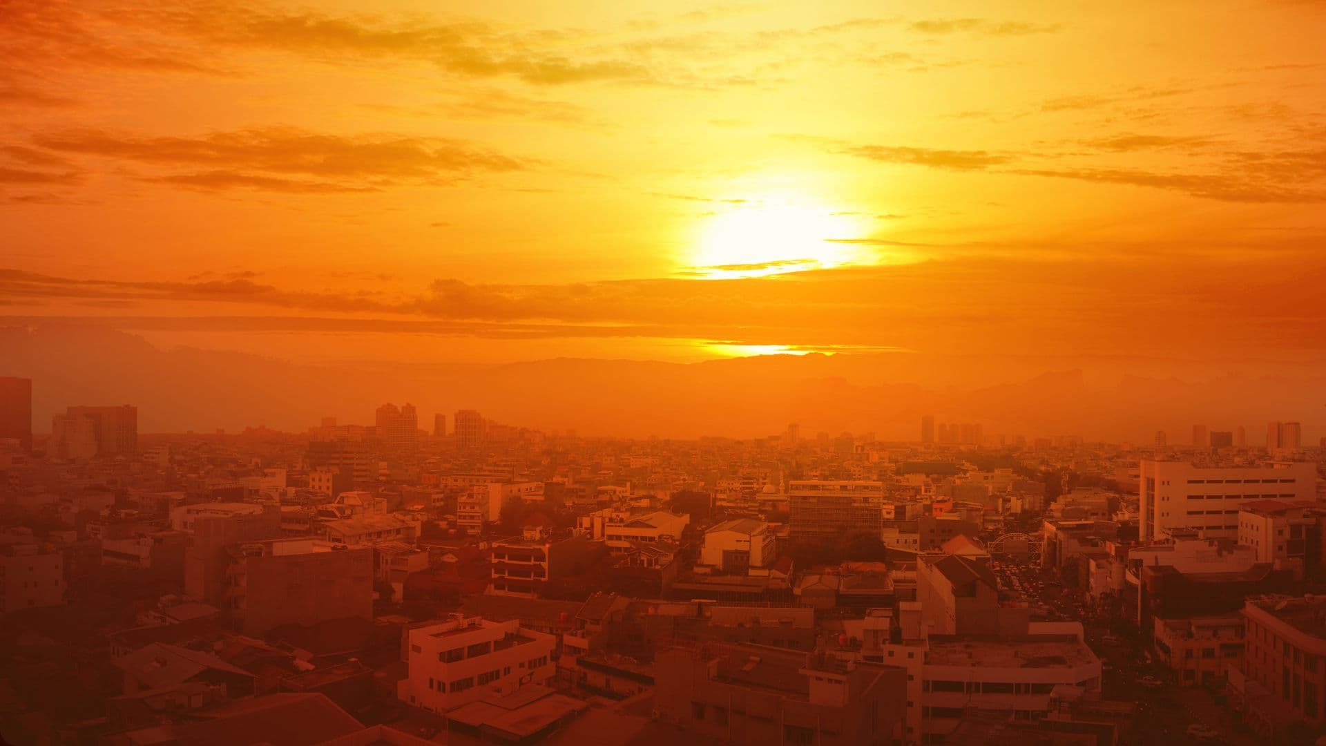 Heatwave Kills Over 100 in Andhra Pradesh, Telangana as Power, Health Systems Strain