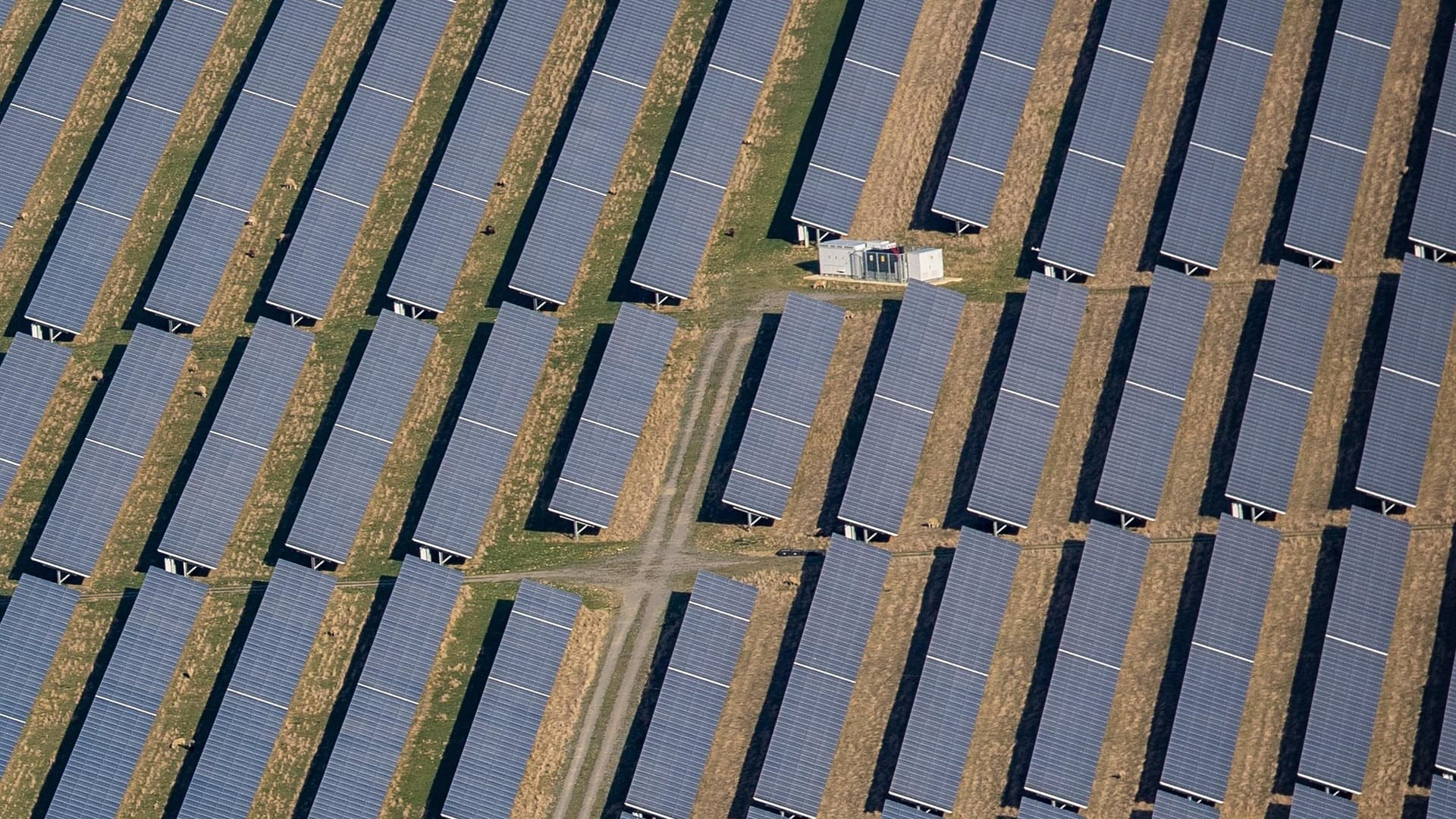 Nearly Half of Climate-Vulnerable Countries Outpace US in Solar Adoption: Report