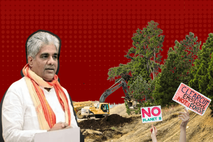 FCA amendment: No forest for the weary