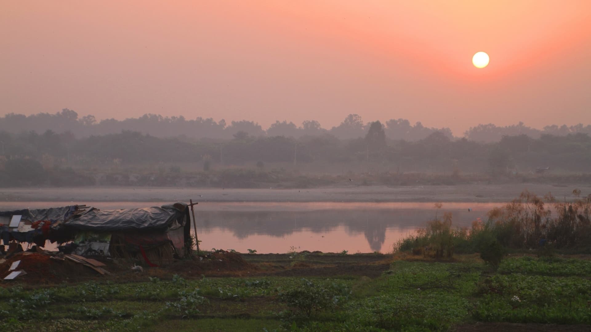  SC Sets Aside 2017 NGT Order Against Art of Living For Damage Caused to Yamuna Floodplains During 2016 Event