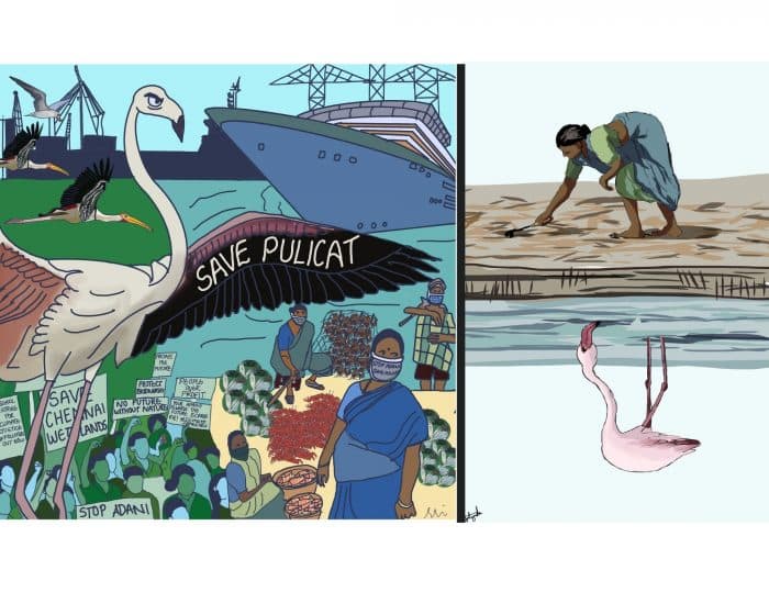 ‘Megaport’ construction puts Tamil Nadu’s Kattupalli island at risk of largescale devastation