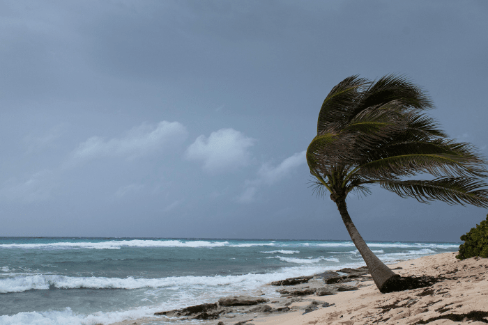 The cyclone Biparjoy, which was originally expected to travel northwestwards towards Yemen and Oman, surprised observers by moving  north-northeastwards, along India’s west coast.