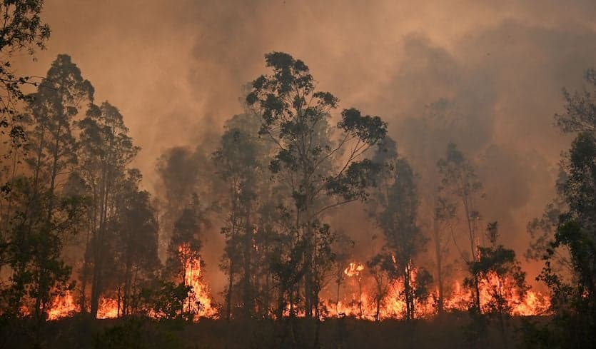 Untameable: Unable to contain wildfires which have been raging for weeks and inching towards Sydney, a state of emergency was declared in New South Wales|Photo: Weather Underground