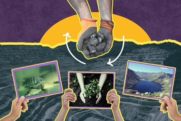 From extraction to regeneration: How India’s coal mines are being reimagined