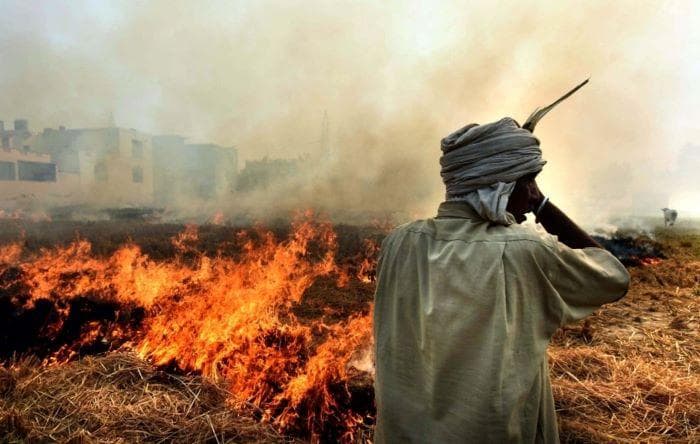 Critical mission: A new national mission to use biomass in thermal power plants has been tasked with resolving India’s crop stubble burning problem | Photo: The Weather Channel