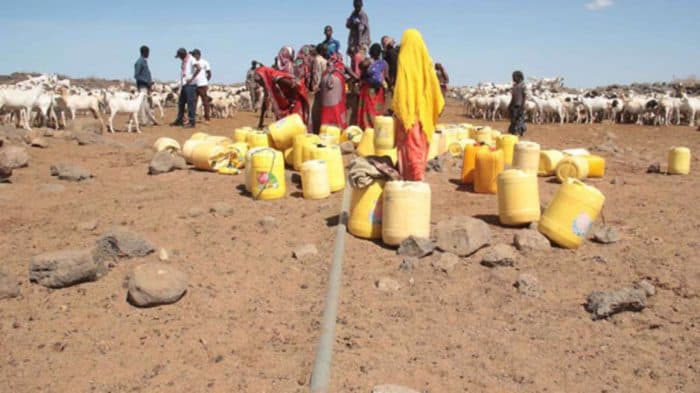 40% chance that global temp will hit 1.5°C tipping point in next 5 years: WMO climate update