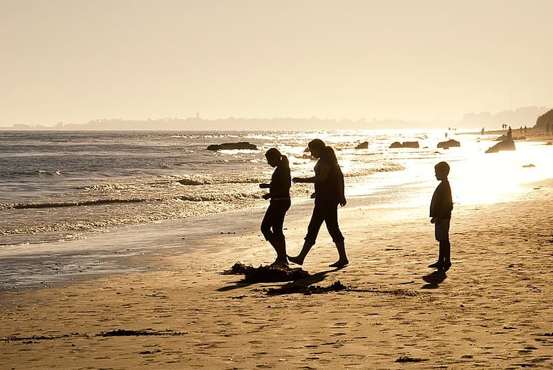 The average temperature was 0.17°C higher than in 2016, the previous record year–this is quite a significant jump. Photo: Damian Gadal_Wikimedia Commons