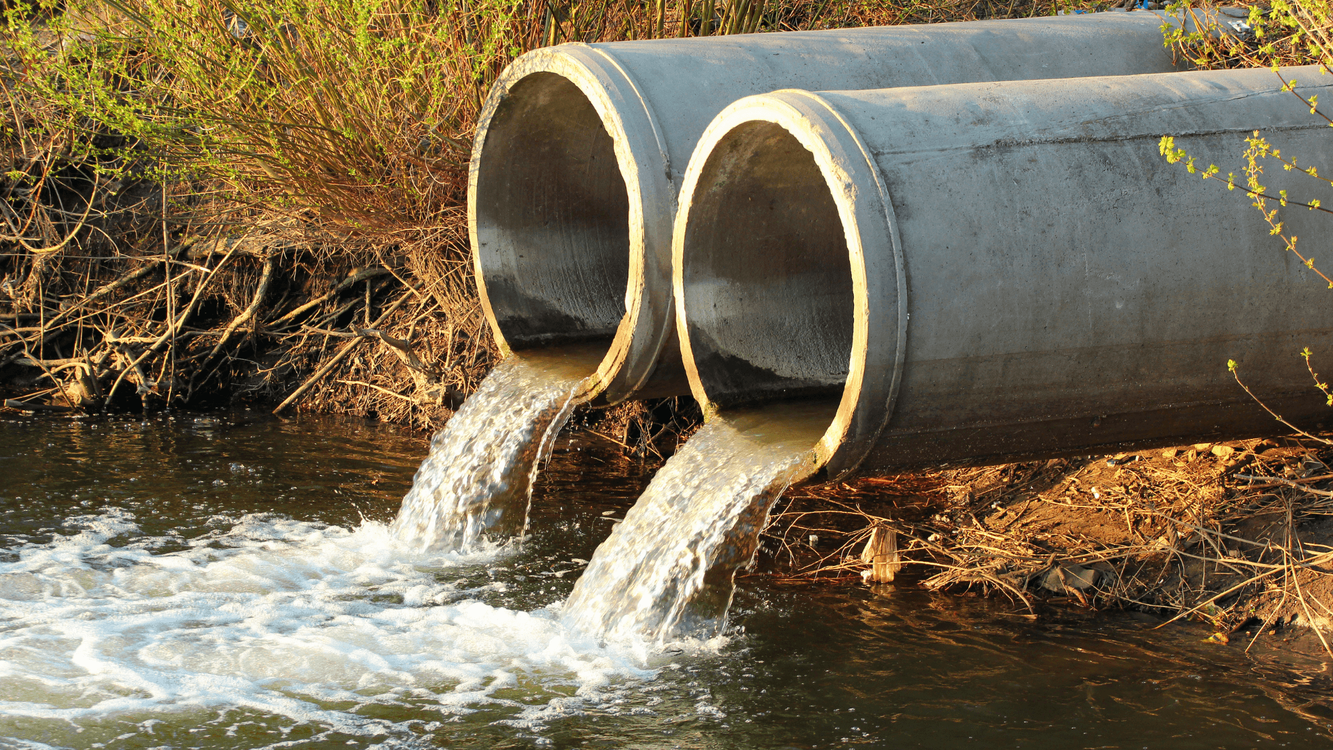 Gurugram to Plug Sewage Discharge Into Drains to Cut Yamuna Pollution