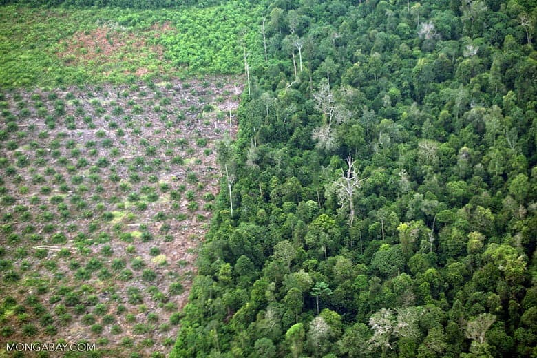 Number Games: India’s forest growth reported in the State of Forest Report 2019 is mired in ambiguities that could end up derailing efforts to achieve its NDC | Photo: Mongabay