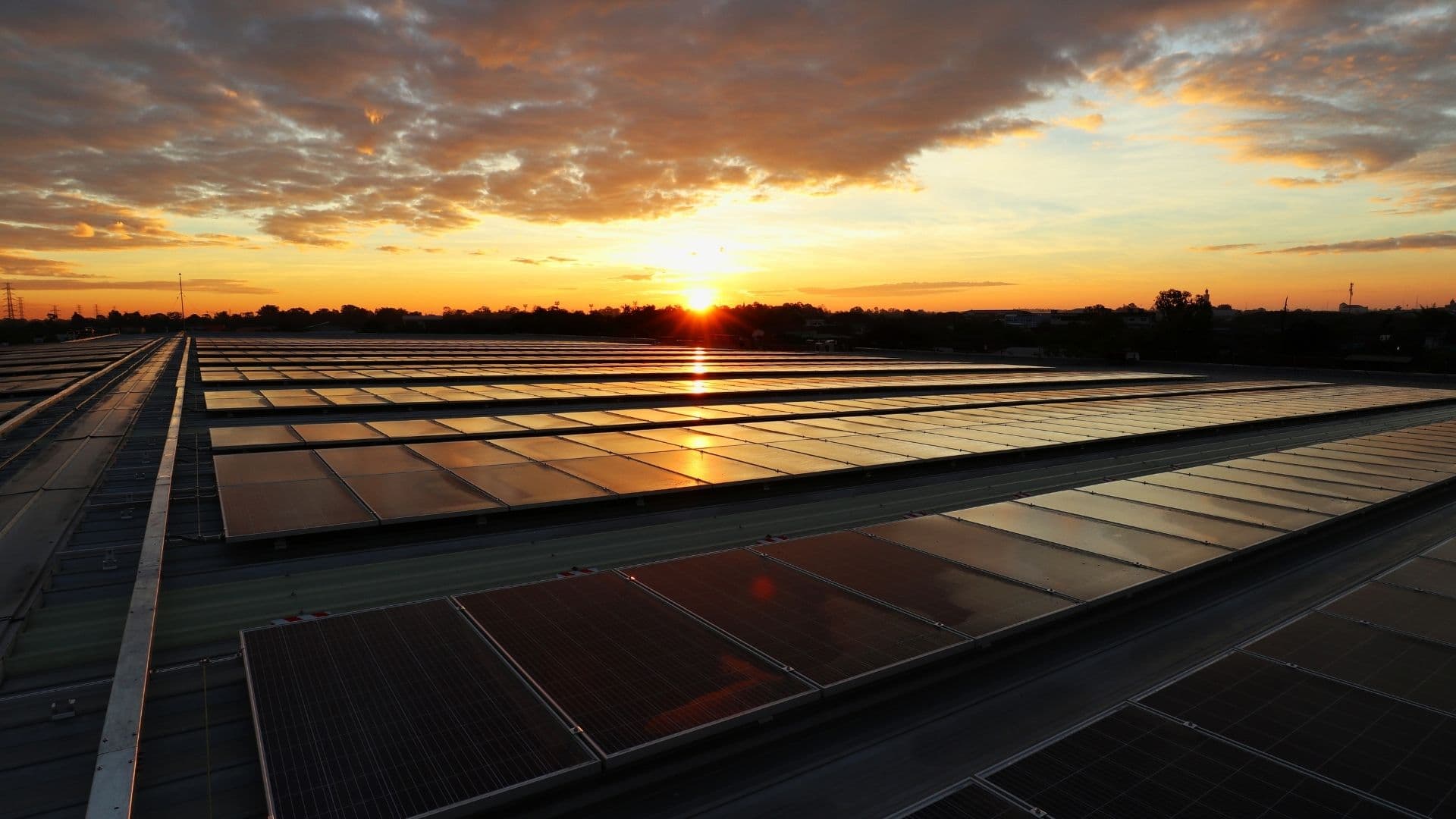  BRICS adopts photovoltaic industry action plan, calls for value addition in critical minerals