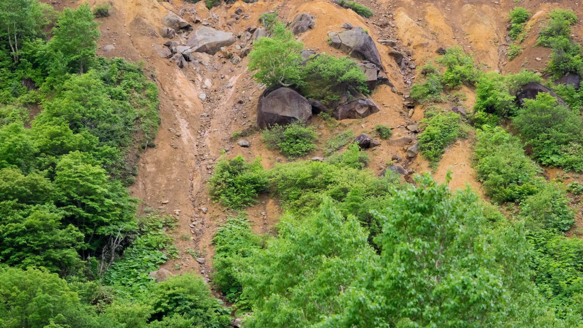7 Killed in Mumbai Landslide, Lightning Kills 14 in Jharkhand, Assam Flood Toll Touches 90 