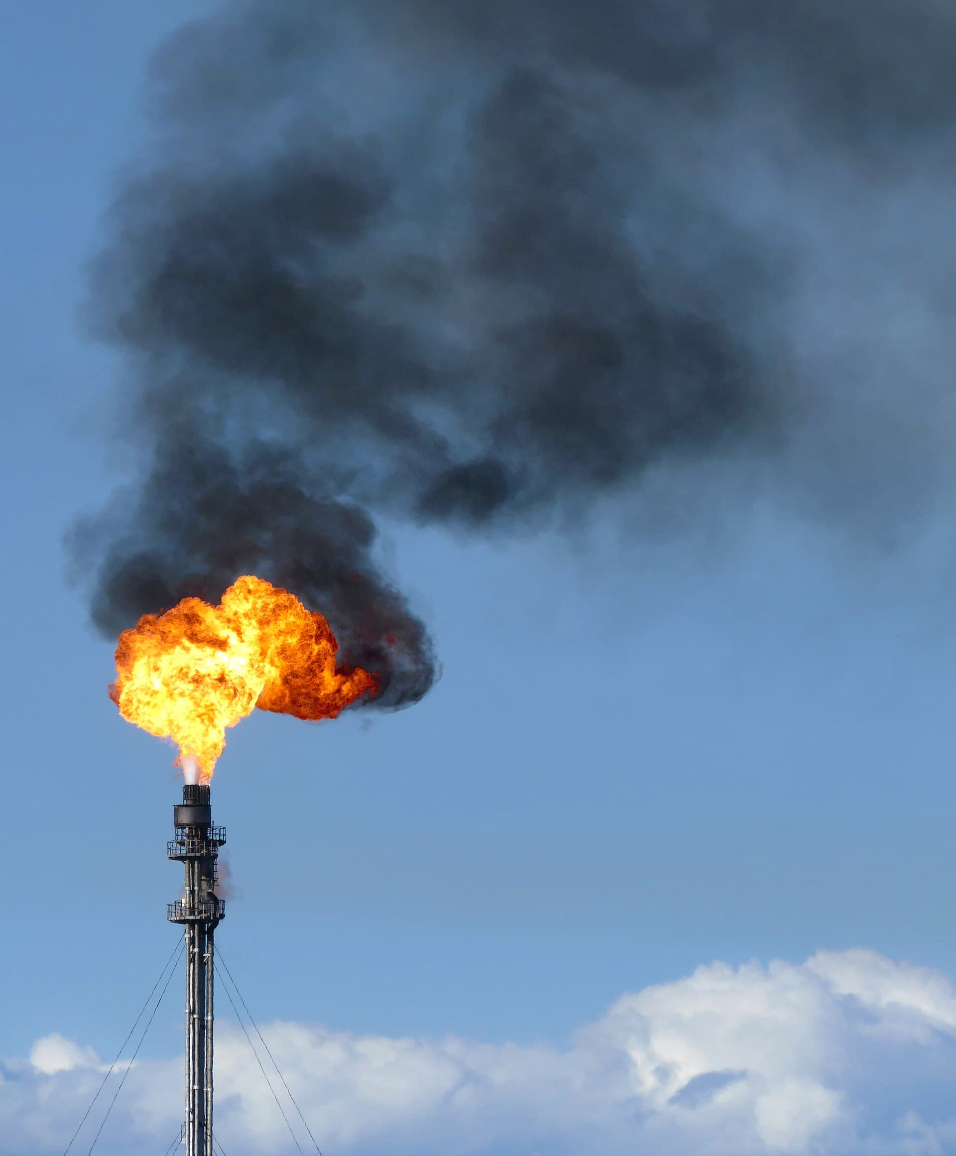 Methane is roughly 80 times more potent than carbon dioxide. 