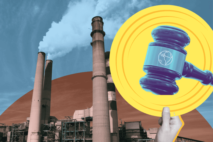 The ruling sets a precedent that can be utilised in climate damage cases globally. Visuals: Riddhi Tandon