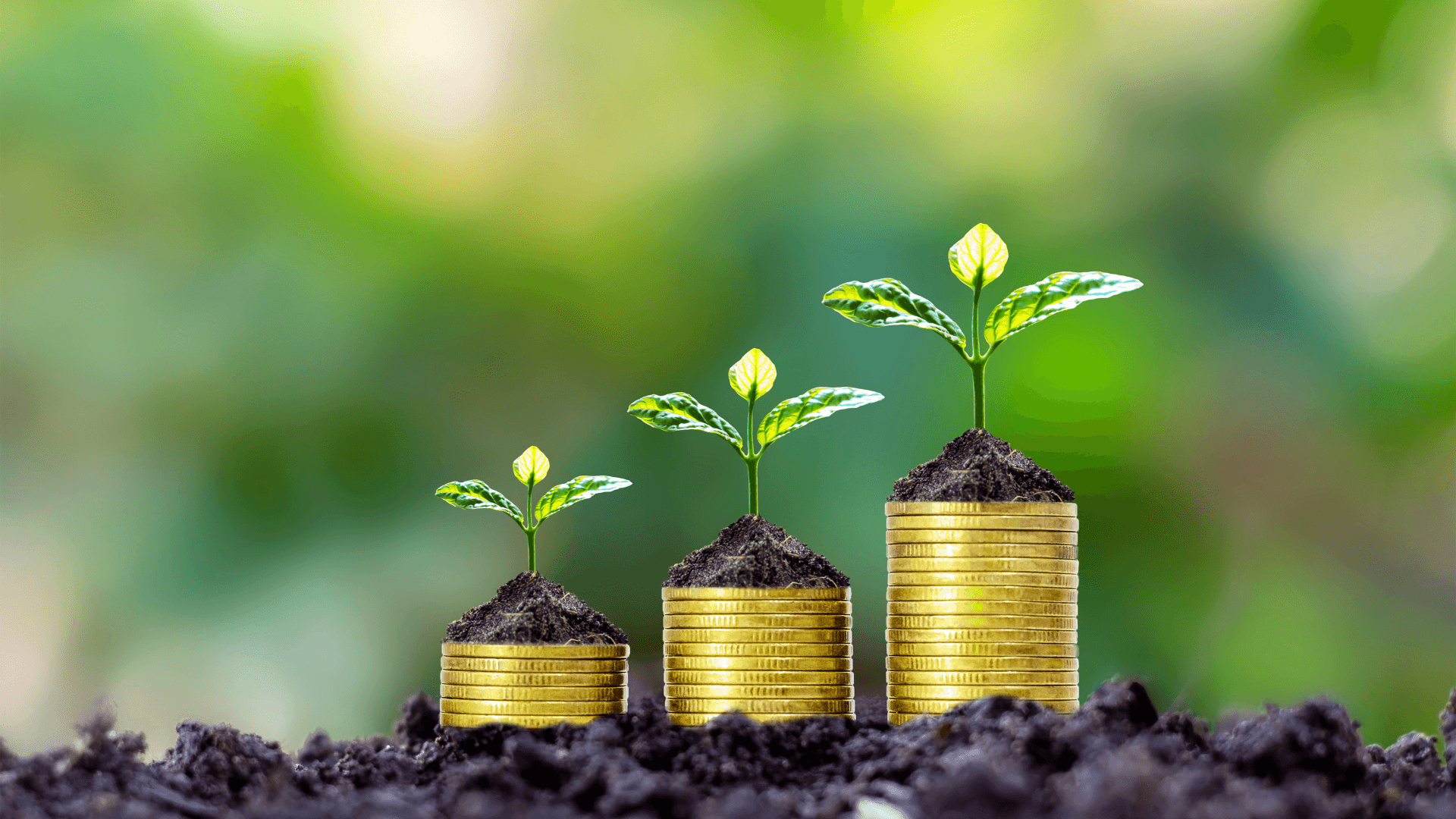 India Can Tap $1.2 Trillion in Institutional Capital For Green Transition: Report 