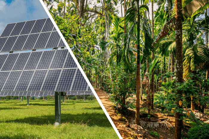 According to the report, India’s forest and tree cover has consistently increased and currently stands at 25.17% of the total geographical area of the country.