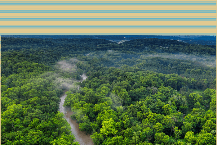 The study mentioned that regrowing degraded and secondary forests accumulated 107 mega tonnes of CO2 between 1984-2018, counterbalancing 26%  of carbon emissions from humid tropical forest loss during the same period.