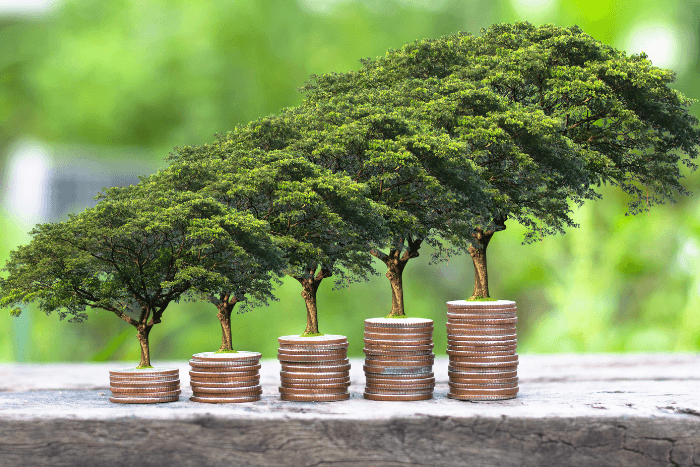 The report —India’s first-ever effort to track green investment flows—recommended public finance must increasingly play a role in mobilising private finance.