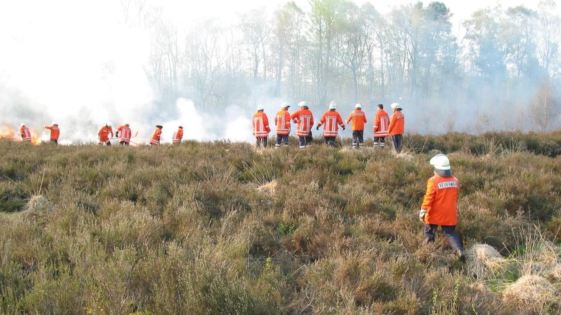 The businesses are critical central to halting and reversing biodiversity loss, but that many businesses often lack information to address their impacts and dependencies,