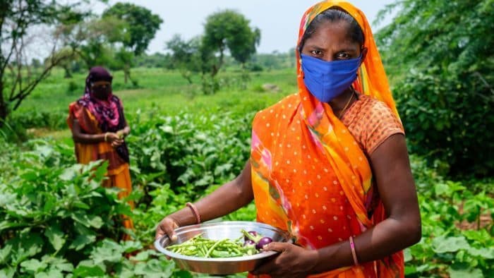 Greening NBFID: How India’s new institution for development finance can help meet its sustainable funding needs