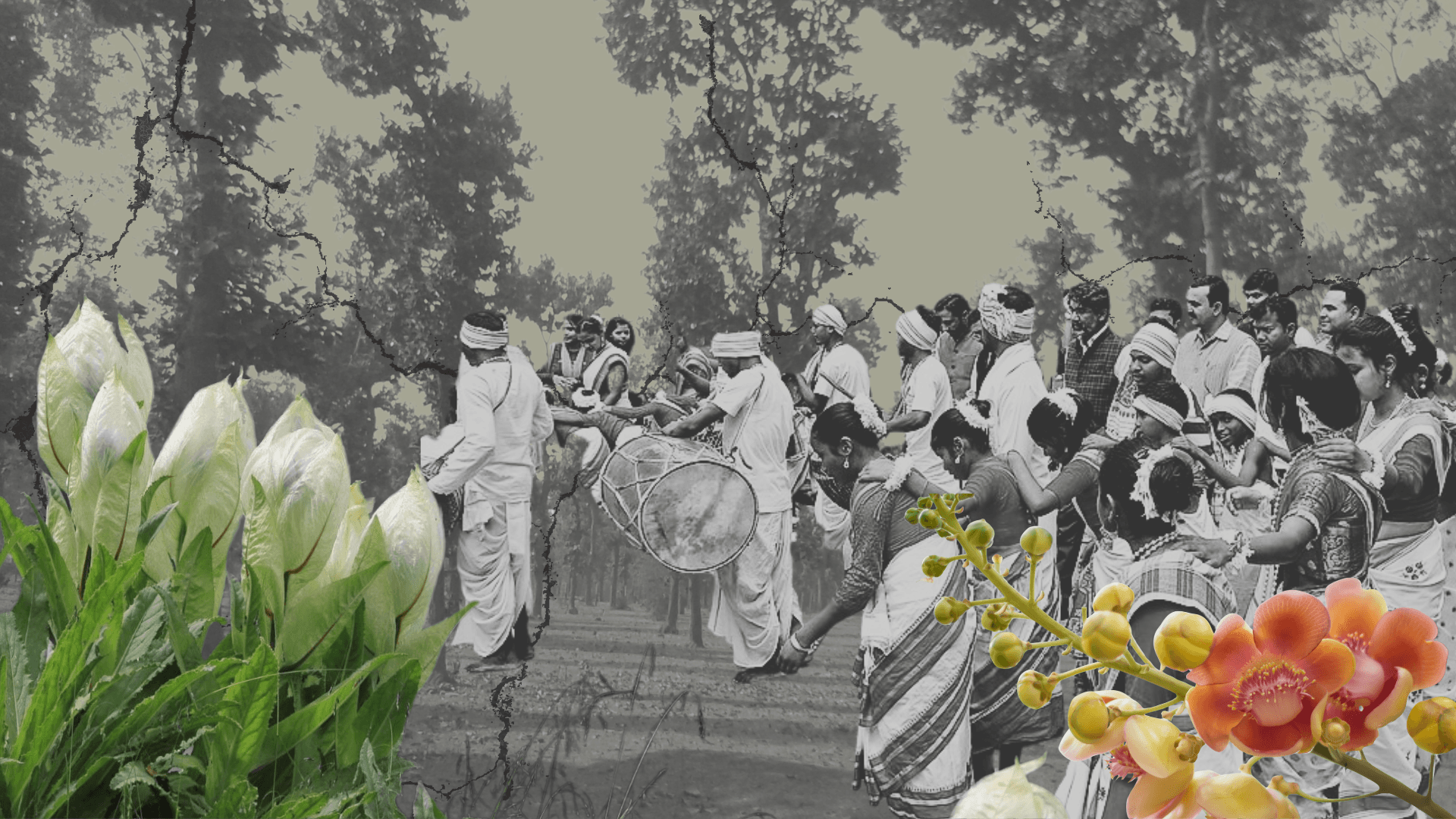 How Climate Change is Eroding India's Biocultural Heritage