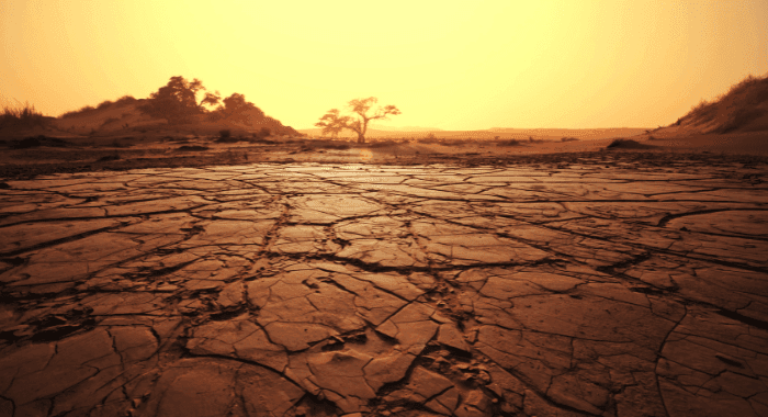 El Nino may last till April 2024: ‘Expect warmer winter, more fog, summer heatwaves’