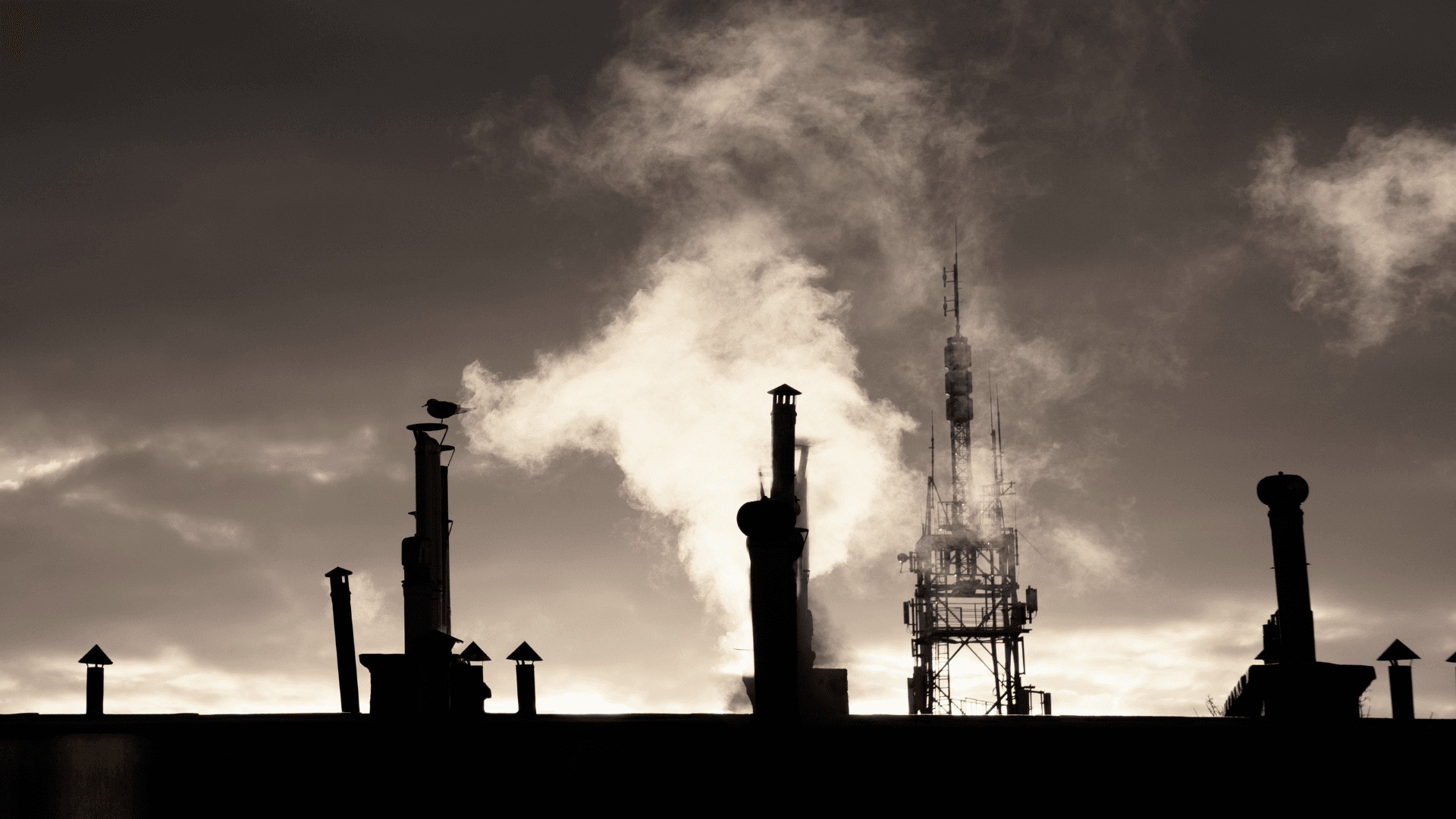 Indian Steelmakers Fail to Match Climate Action with Ambition: Report