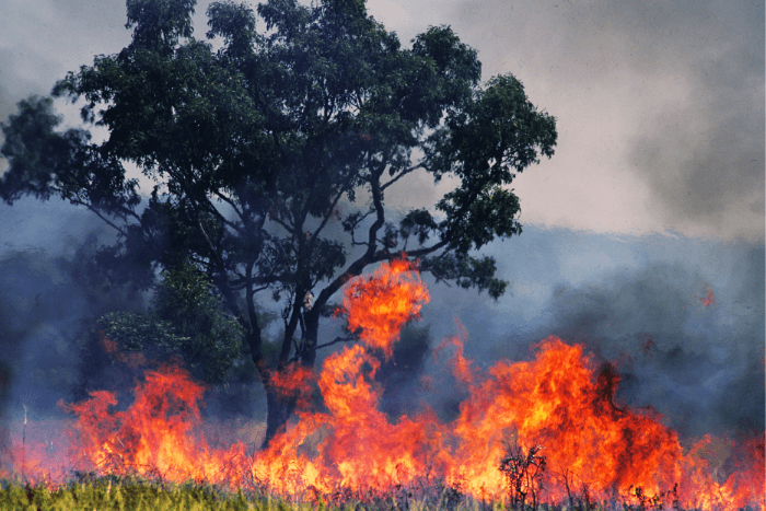 With adaptation and mitigation actions slowing down, the cost of loss and damages caused by climate change is rising exponentially, said Adaptation Gap report 2023.