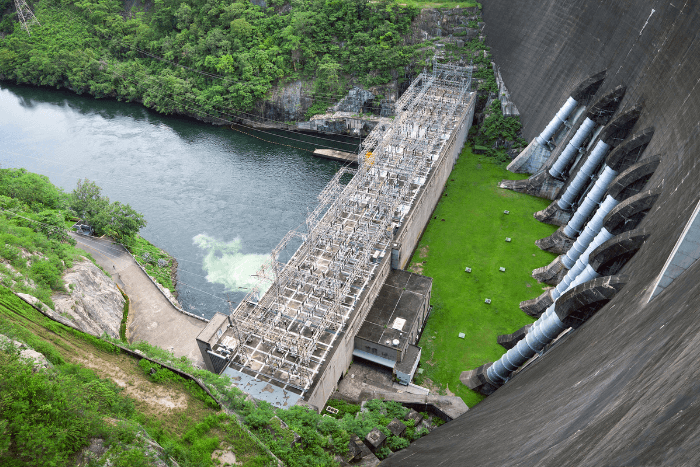 The power ministry secretary wrote to the MoEFCC, requesting that the dispensation provided to mining projects for drilling 25 bore holes and felling of 100 trees be extended to hydro and pump storage projects also.