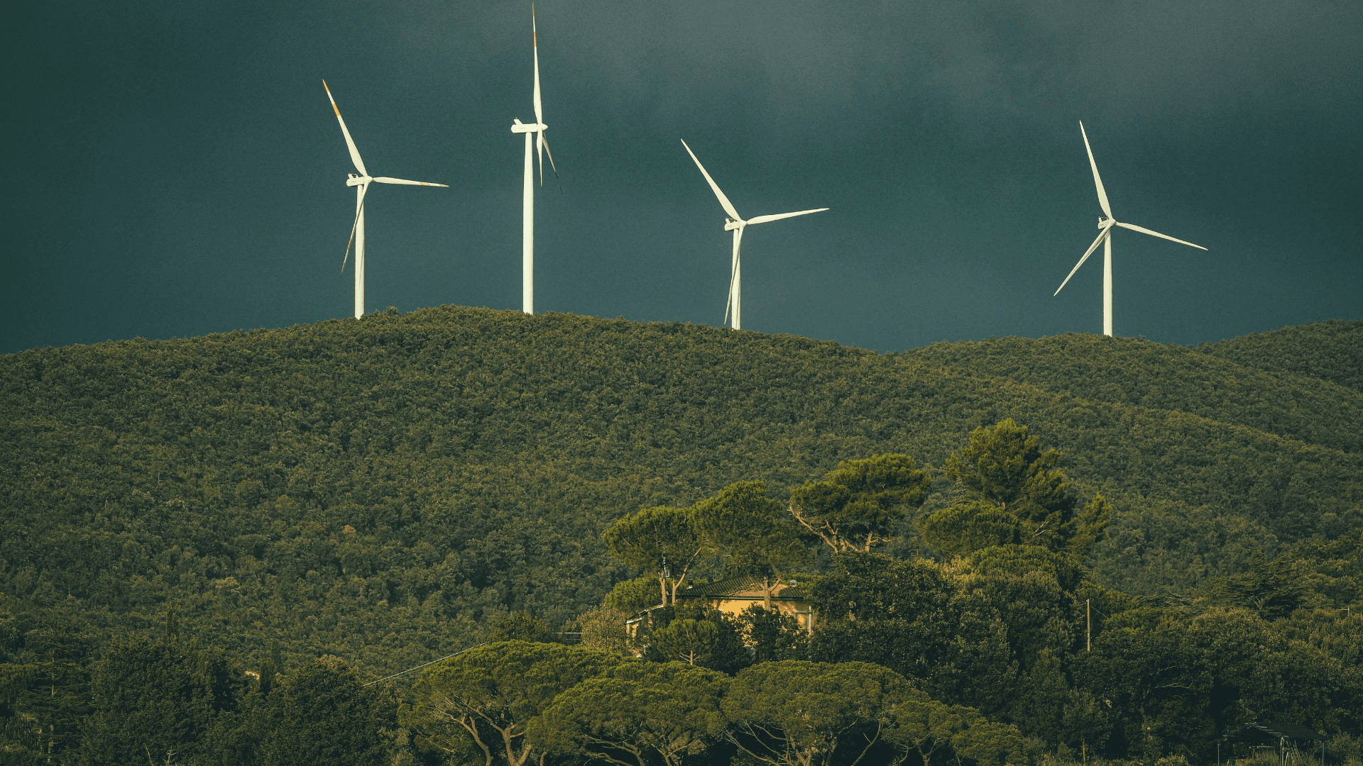 India Ranks Third in Renewable Energy Capacity After China, US