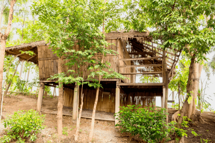 The ministry has sought a report detailing the name and number of villages situated in tiger reserves.