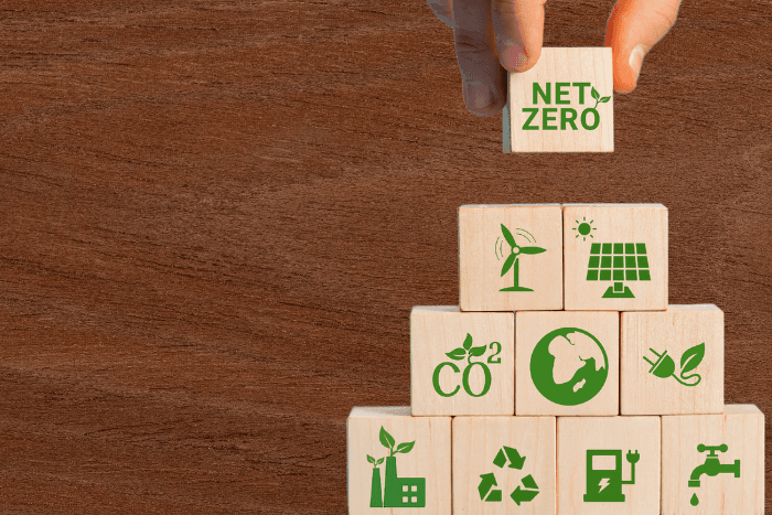 Companies and regions that use a lot of land must ensure that by 2025, any removal of forests they cause is stopped, the report said.