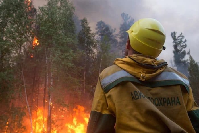 Fuelling flames: Almost two billion tonnes of carbon was emitted by wildfires globally in 2021. Photo: Yahoo news