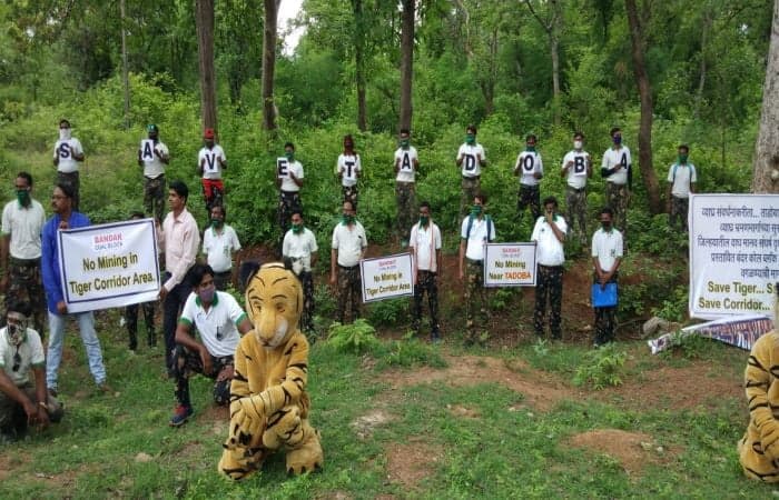 Environmental activists protest the auction of the Bander coal block that is situated in the vicinity of the Tadoba tiger reserve | Photo: Indiareal.in