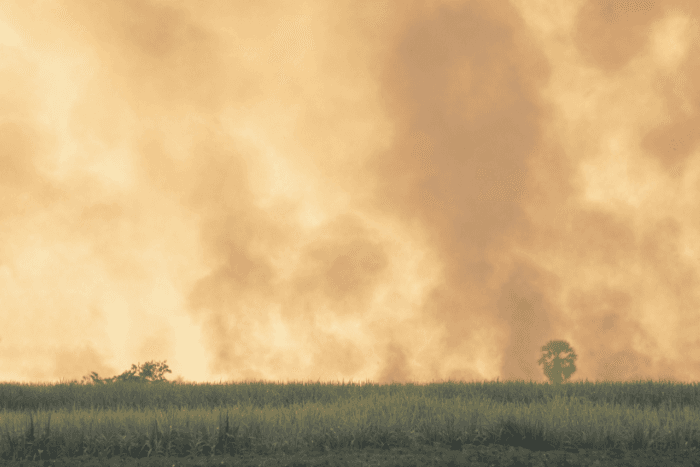 The national standard for fine, particulate matter or PM 2.5 (24 hours) is 60 micrograms per cubic metres.