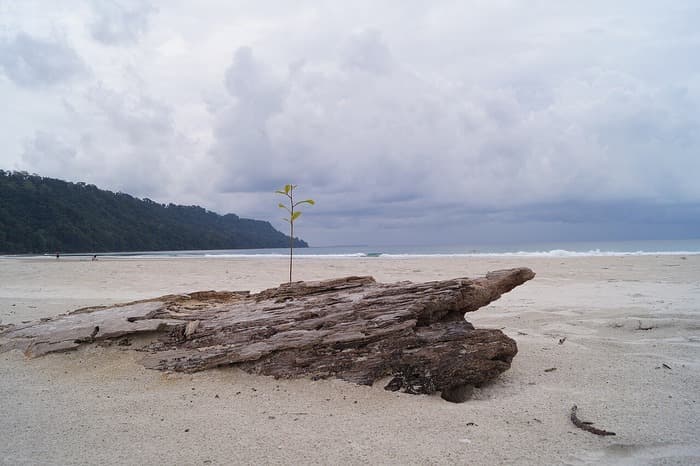 Southwest monsoon enters Andaman and Nicobar region, a week in advance