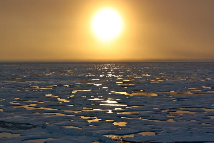 2024 on track to be the hottest year ever: Copernicus Report