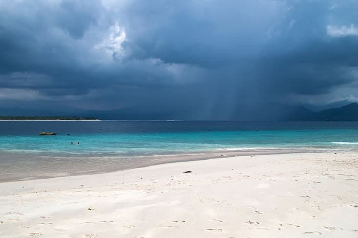 The study found that in total, 9.4% of the surface of all terrestrial ecosystems is susceptible to transformation due to cyclone pattern changes between 1980–2017 and 2015–2050. Photo: Wikimedia Commons