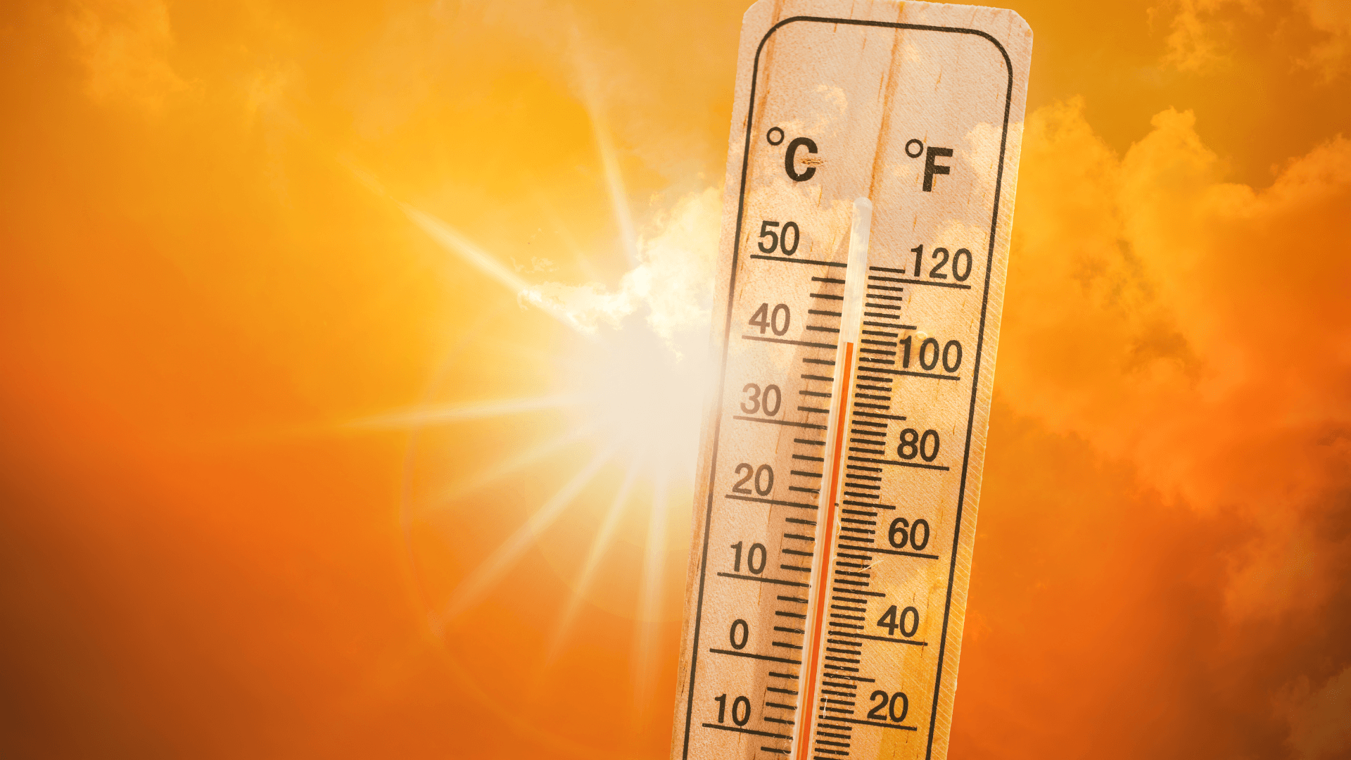 Record Heat in March, Second-Warmest Sea Temperatures Signal Approaching El Nino