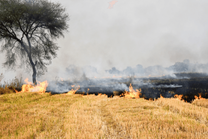 The report found that fire incidents in Punjab and Haryana contributed to a 103-unit increase in Delhi’s AQI.