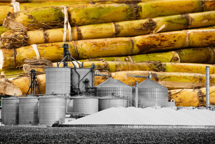 Government has allowed distilleries to use B-heavy molasses, a byproduct with higher sucrose levels, for ethanol production.